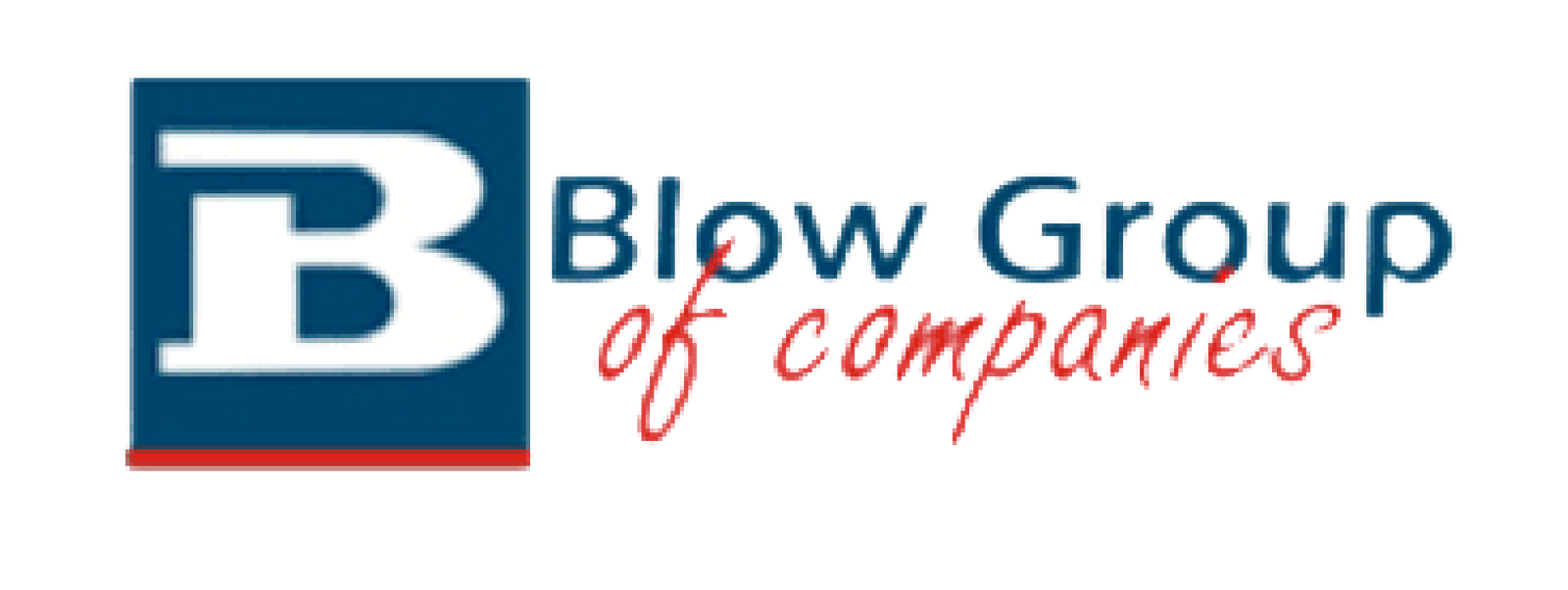 Blow Group-Logo